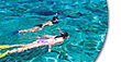 Great Barrier Reef Diving