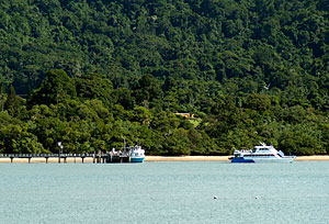 Cruise boats to Dunk Island and the Great Barrier Reef leave from Clump Point.